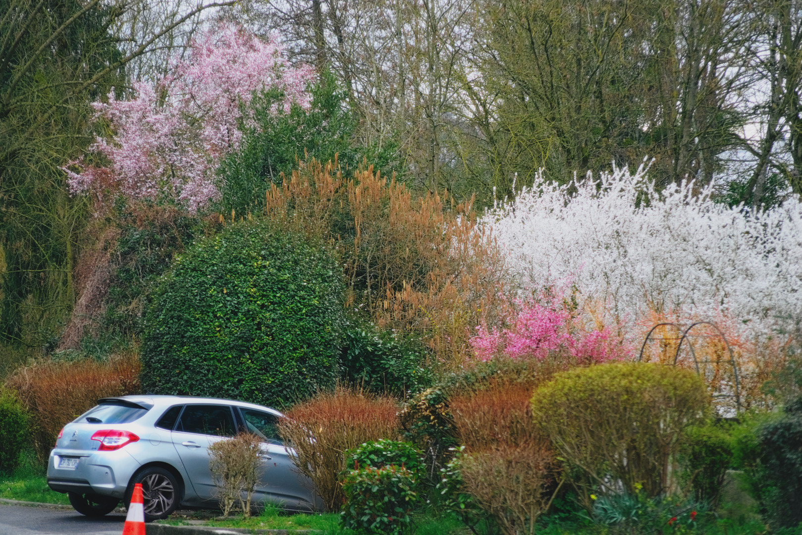 A car parked among colourful trees and bushes