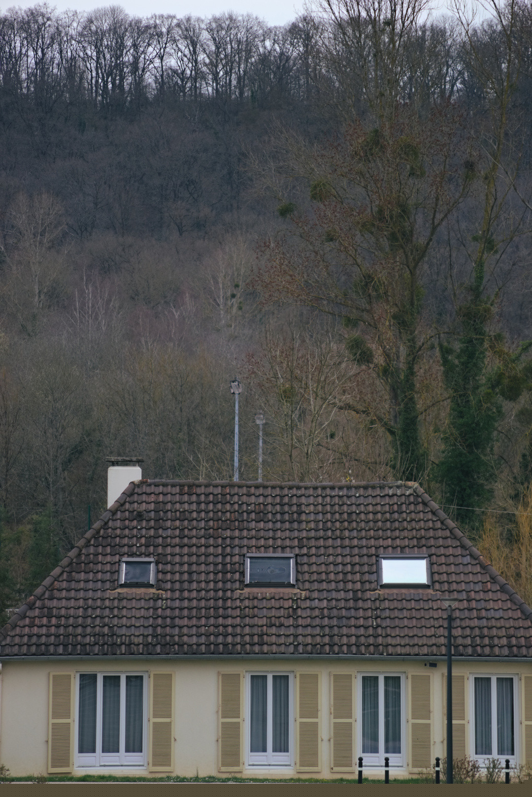 A house façade and tiled roof below a wooded winter hillside